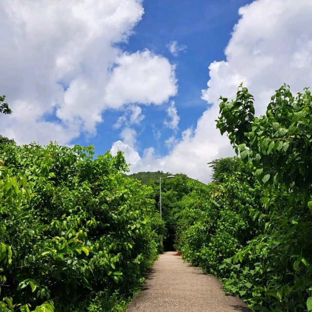 北潭凹-赤徑行山郊遊分享📸睇盡沿途山景海景🏞️