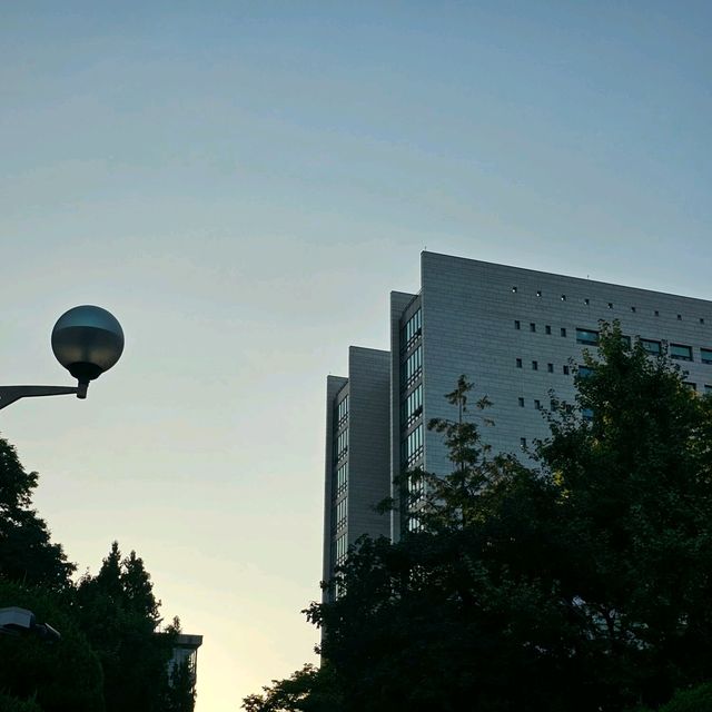 산책하기 좋은 대학교🎓서울시립대