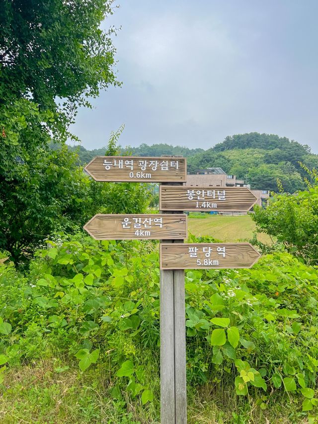 남양주 드라이브 코스🌳
