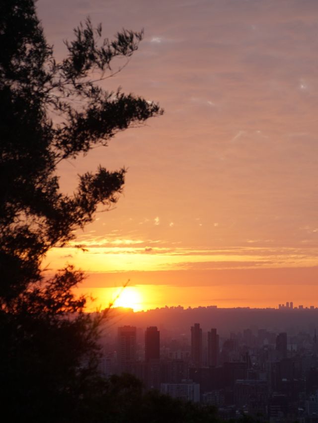 Breathtaking view of Taipei 101