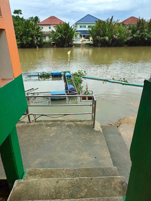 Serendipitous Encounter with a Beautiful River in Surat Thani👍🏻