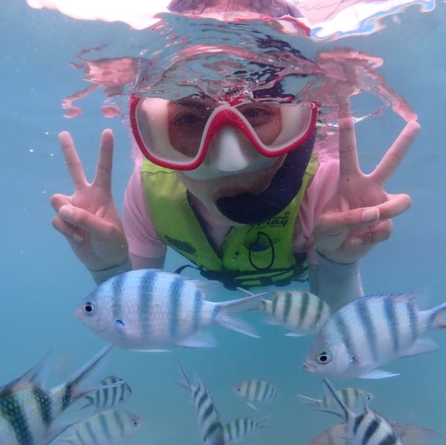 Snorkeling at Samaesan Island 