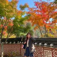 숲 속 산책하기 좋은 서울 근교 핫플🍁