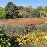 《福岡》四季折々の草花が楽しめるオススメSPOT🌼