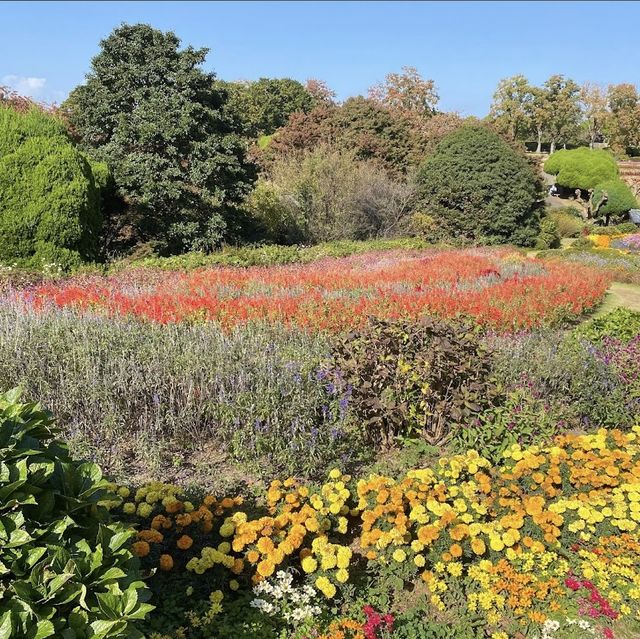 《福岡》四季折々の草花が楽しめるオススメSPOT🌼