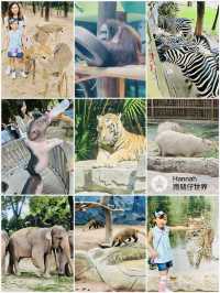 深圳動物園攻略