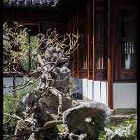 🏯🌸 可園博物館～嶺南園林的珍貴寶藏！🏯🌸🎎