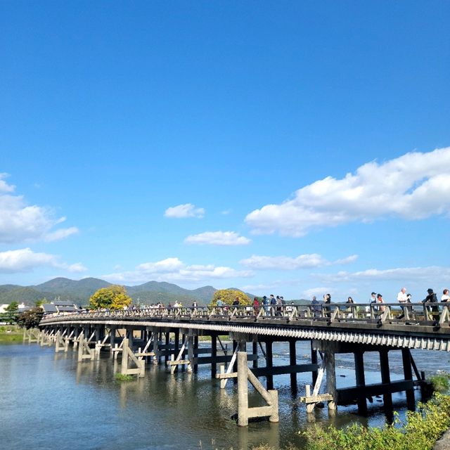 일본여행 교토 도게츠 교 渡月橋
