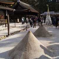 上賀茂神社で、神馬に人参をやったのが楽しかった。
