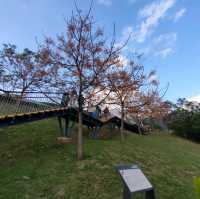 花開正好-北投三層崎公園