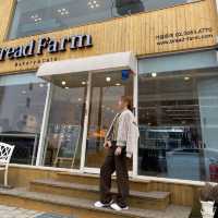 봉포해변 빵 맛집 'Bread farm🥐'