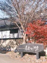 日本九州 | 由布院 可可愛愛的童話村♨️