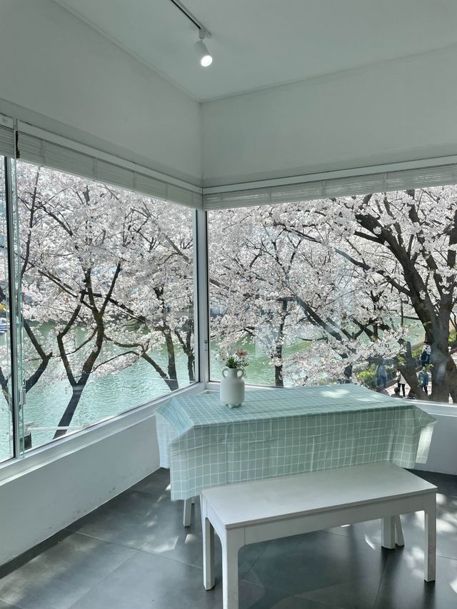 석촌호수 벚꽃 포토존 위치:: 문화실험공간호수🌸