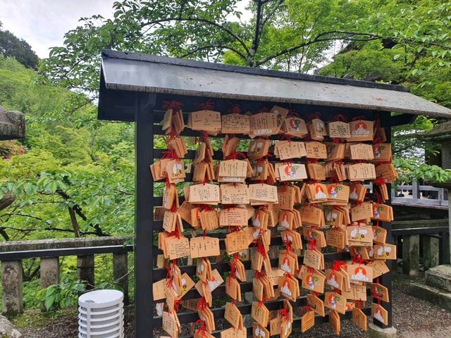Kiyomizu-dera Temple | Kyoto Japan🇯🇵