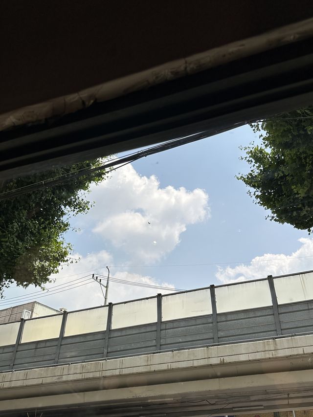 중랑천 노오란 유채꽃보러 중랑장미공원🌹