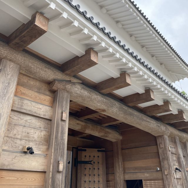 【日本100名城】鹿児島城(鶴丸城)跡を散策！