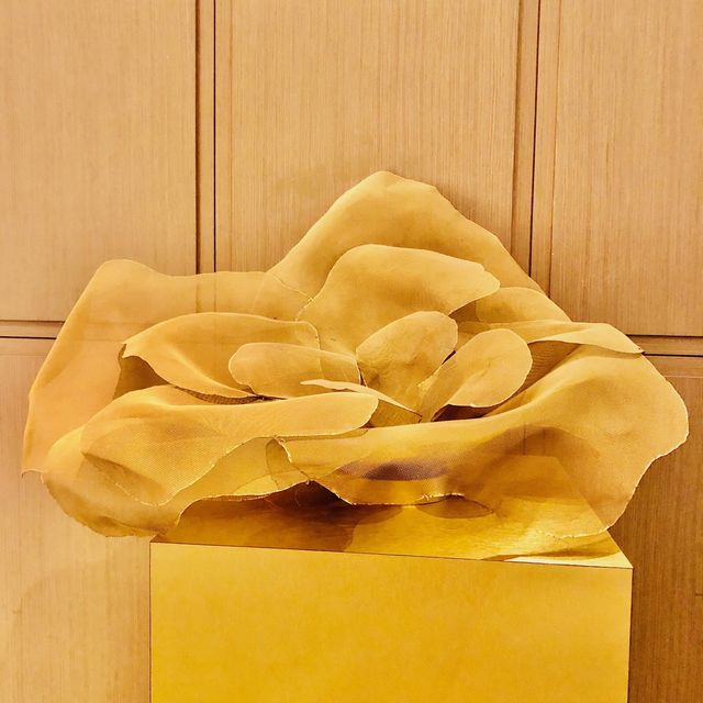 台北大直絕美五星酒店泳池🌟 Taipei Marriott Hotel 台北萬豪酒店