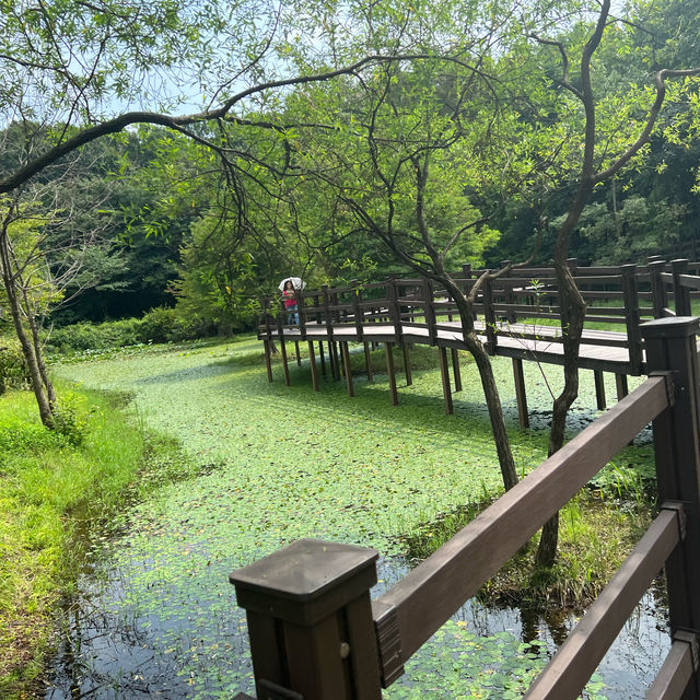 Forest Park