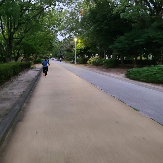 【福岡／春日】のんびり散歩するにはこの公園