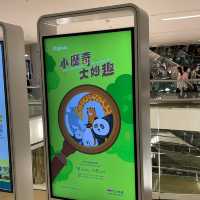 #邊學邊玩免費暑期活動 