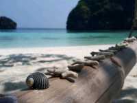 ทัวร์เกาะพม่า 2 วัน 1 คืน | Myanmar