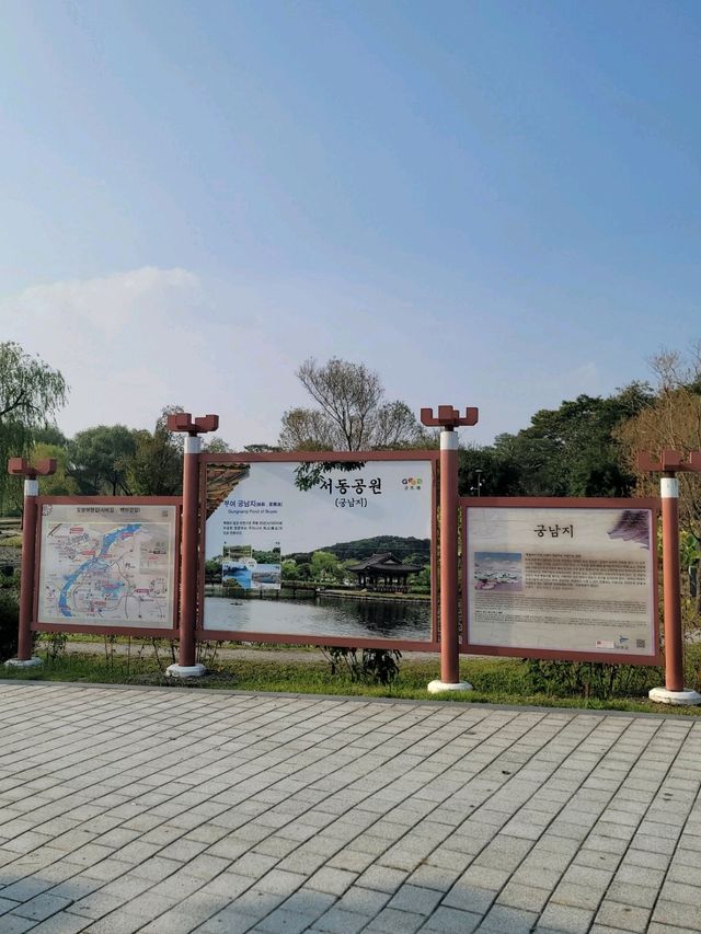 부여의 대표적 관광지 연꽃천국 궁남지🪷