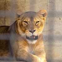 え！？無料の動物園！？