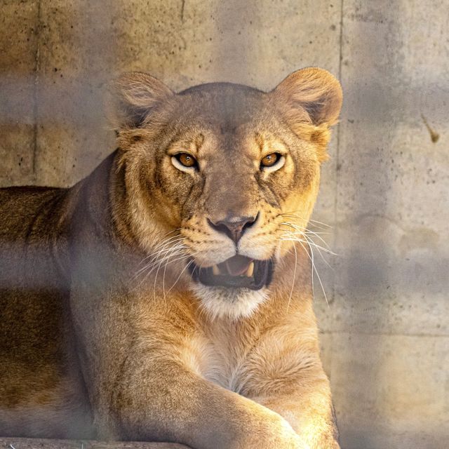 え！？無料の動物園！？