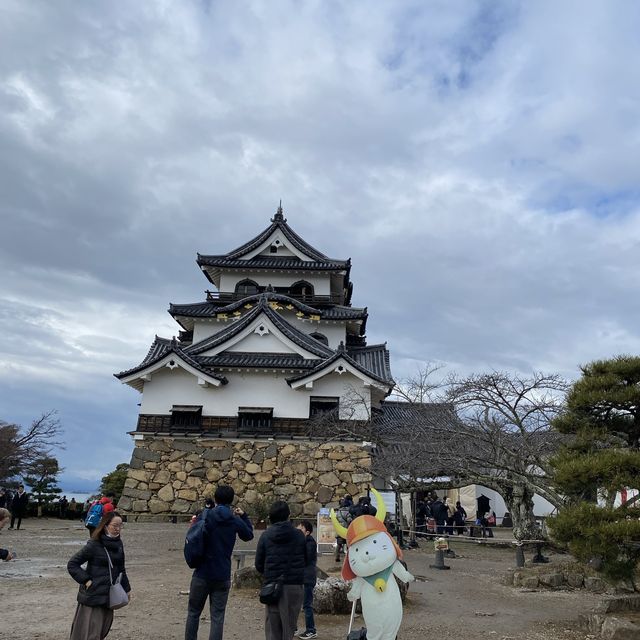 日本彥根城&彥根貓！