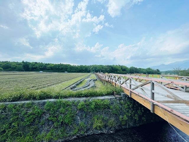 花之都公園