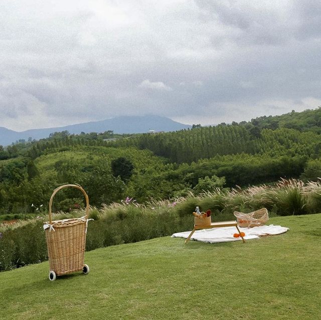Donghouse cafe  @ khaoyai