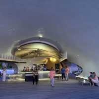 Whale Bar, St Regis Maldives