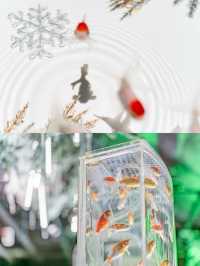 【東京都/銀座】期間限定の星降る銀座のクリスマス