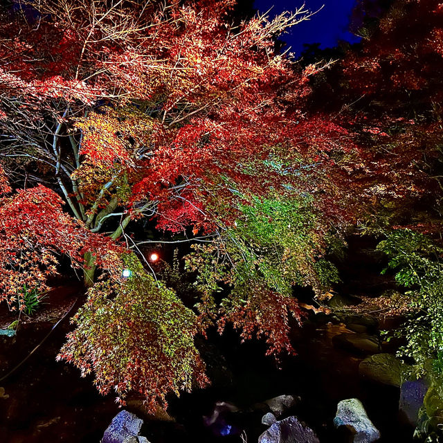 Atami Plum garden and momiji 