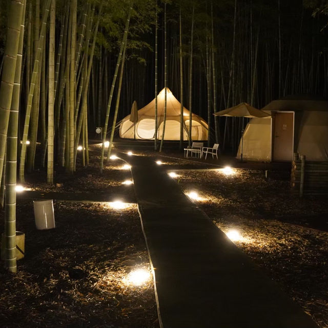 千葉観光　bamboo forest 