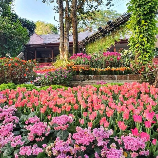 Dining in flower paradise