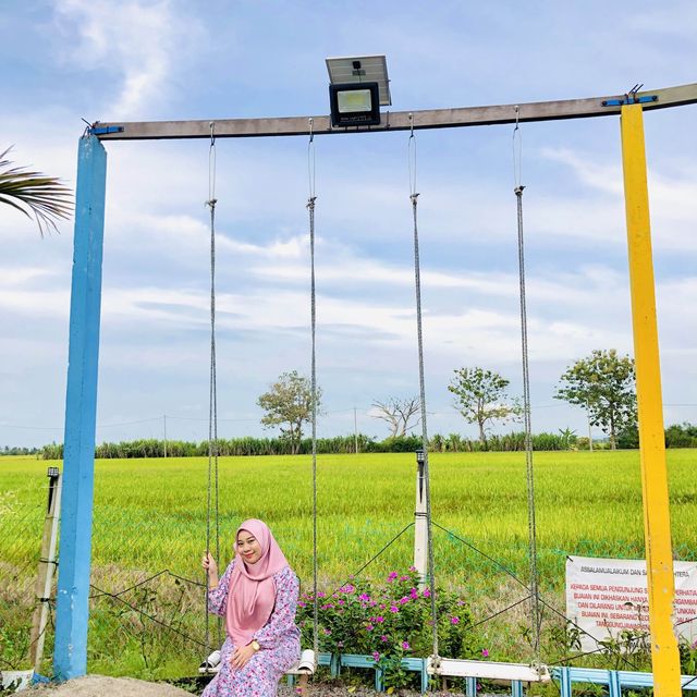 LADANG NIPAH KIPLI, Sanglang Perlis