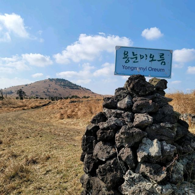 제주의 대자연을 레일 바이크를 타며 느껴보기🛺