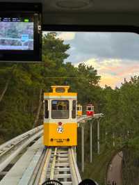일몰타임에 필수로 탑승해야하는 해운대블루라인파크🚃