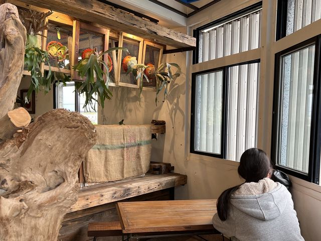 宜蘭打卡景點：木予田商行