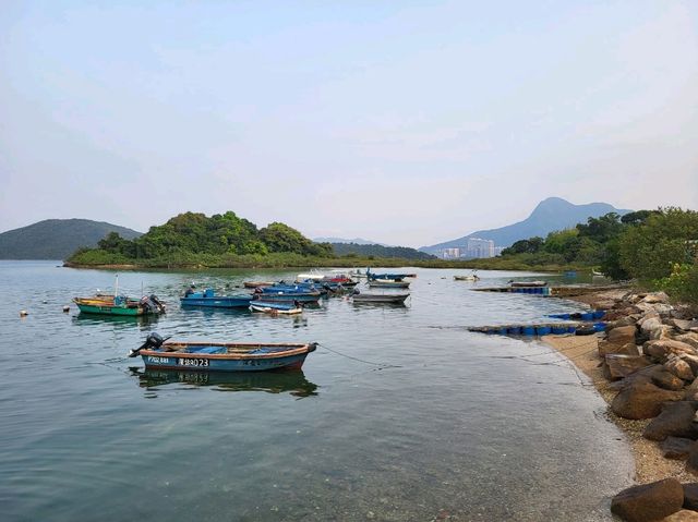 大埔三門仔好風光 大埔三門仔好風光