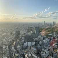 春季東京之旅第四日 – 涉谷一天遊