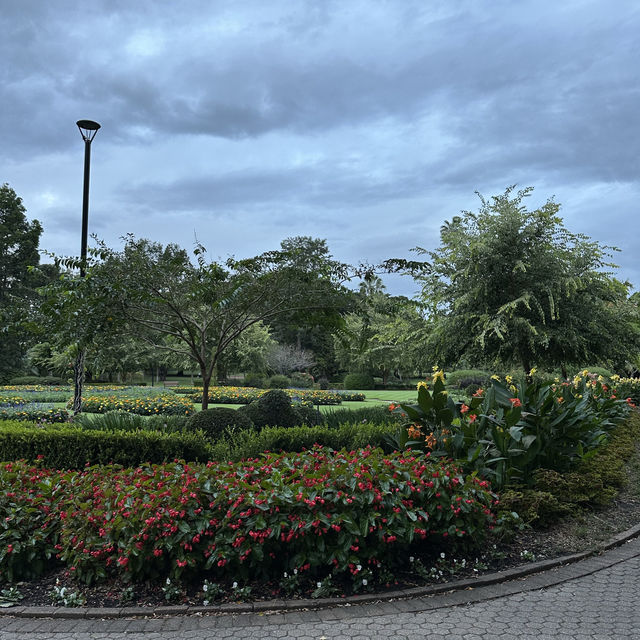 Botanic Garden 🍀🌱🌿🍃🌲