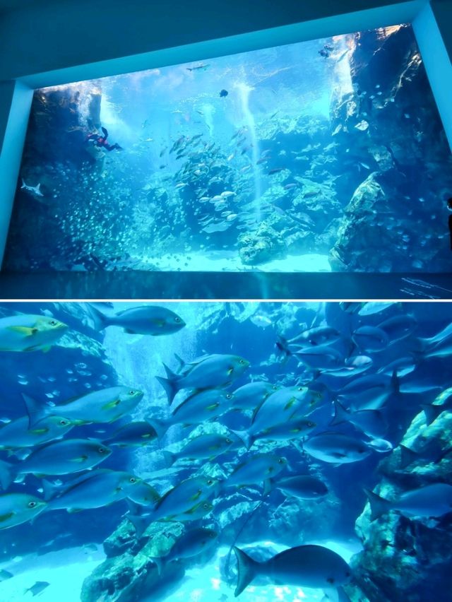 【桃園】X-PARK 水族館：沉浸式體驗海洋世界