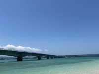 沖繩旅遊必去:萬座毛、古宇利島和美麗海水族館