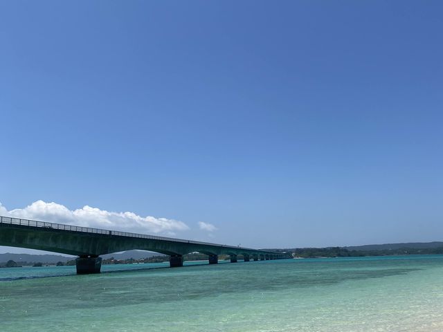 沖繩旅遊必去:萬座毛、古宇利島和美麗海水族館 沖繩旅遊必去:萬座毛、古宇利島和美麗海水族館