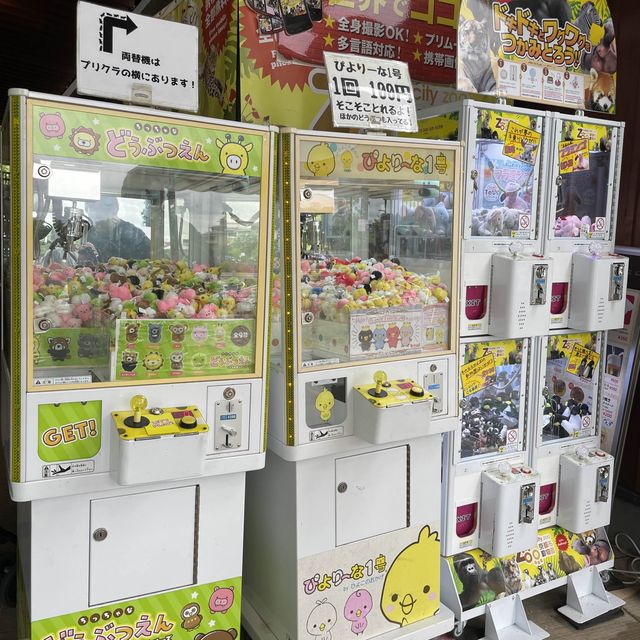 【親子景點】京都市動物園