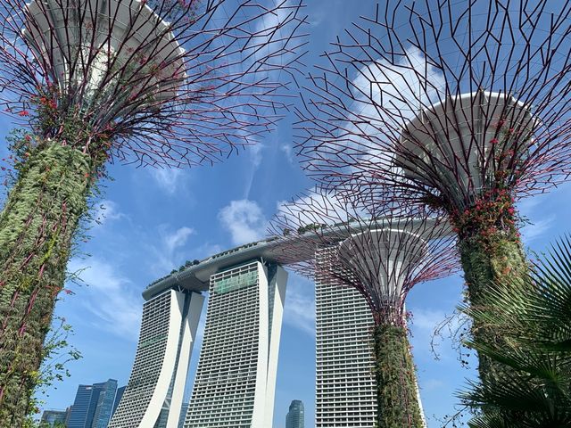 Electric Tree in Gardens By The Bay