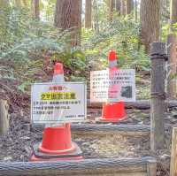 【仙台】華やかな雰囲気の感仙殿