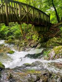 장마철 등산으로 리플레쉬하기🌿 모악산 등반⛰️